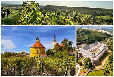 Great Carpathian wine day tour