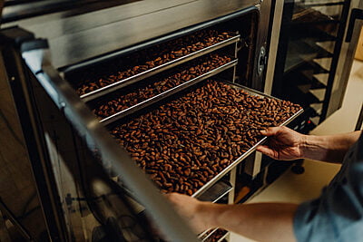South Moravia and Almond festival South Moravia and Almond festival