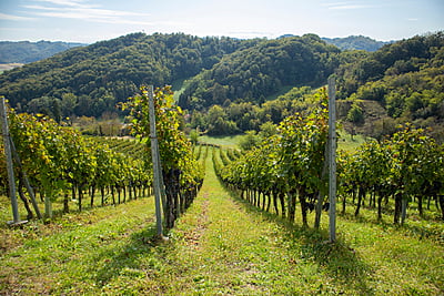 "Danube Valley" half day tour "Danube Valley" half day tour
