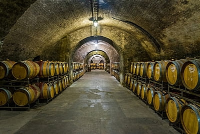 "Danube Valley" half day tour "Danube Valley" half day tour