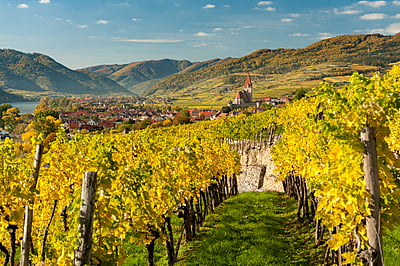 "Danube Valley" half day private tour "Danube Valley" half day private tour